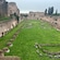 Roman ruins at Palatine Hill in Rome